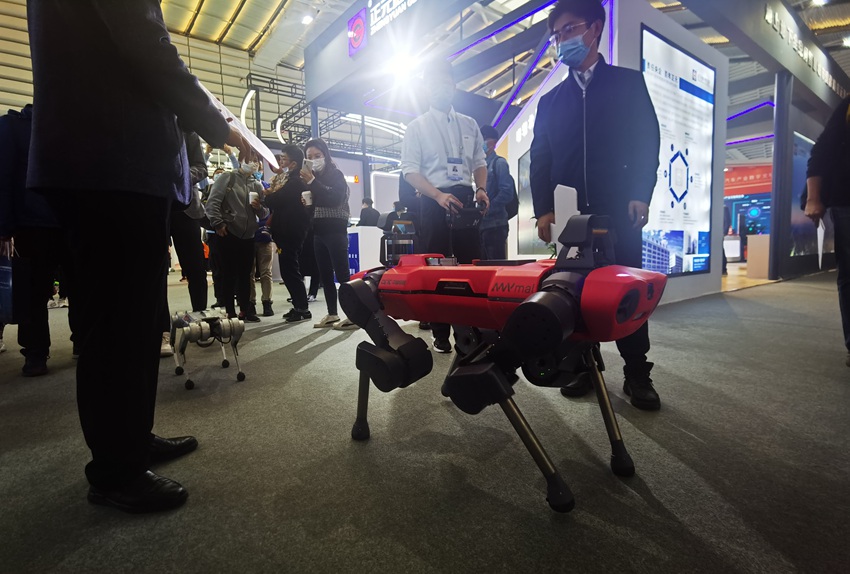 在2020年“互聯網之光”博覽會上，行走的機器狗吸引了眾多參觀者駐足觀看。（人民網 申佳平攝）