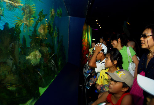 图片:小营员参观北京海洋馆--IT--人民网